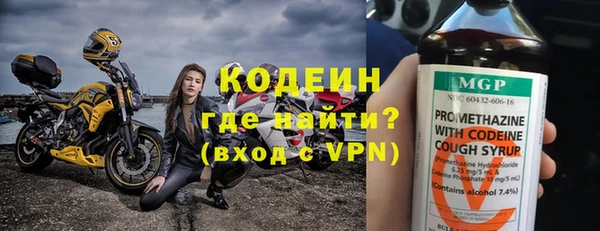 индика Валдай
