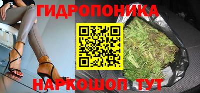 стаф Волжский