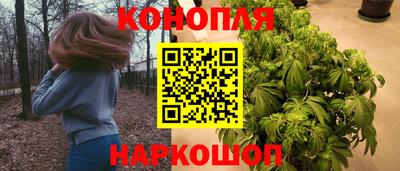 стаф Волжский