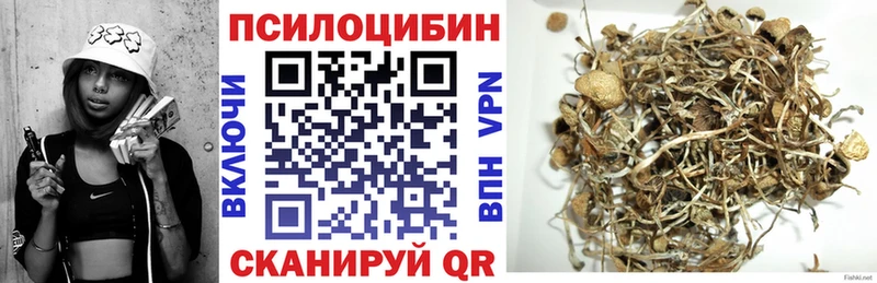 купить закладку  Добрянка  Псилоцибиновые грибы MAGIC MUSHROOMS 
