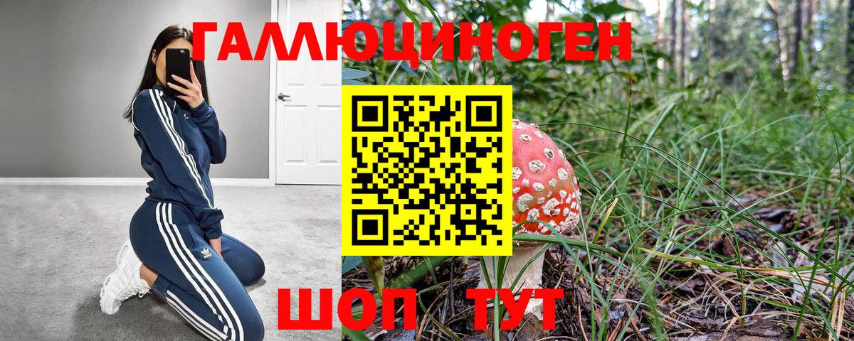 Галлюциногенные грибы Psilocybine cubensis Добрянка