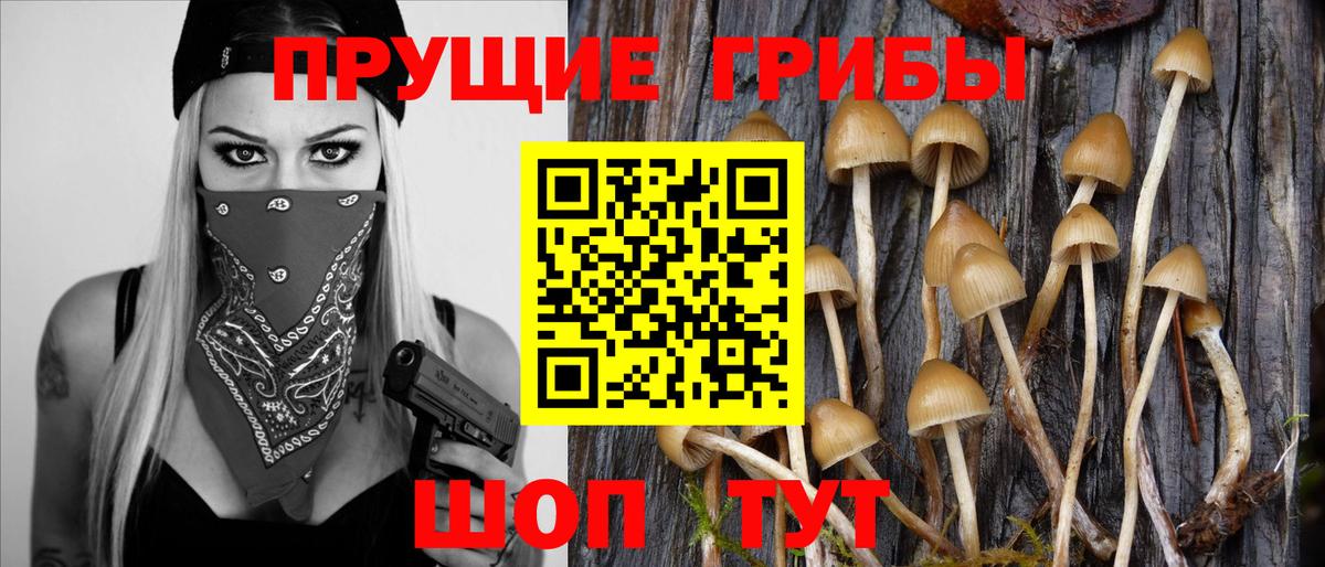 Добрянка  Псилоцибиновые грибы MAGIC MUSHROOMS  Вход с VPN 