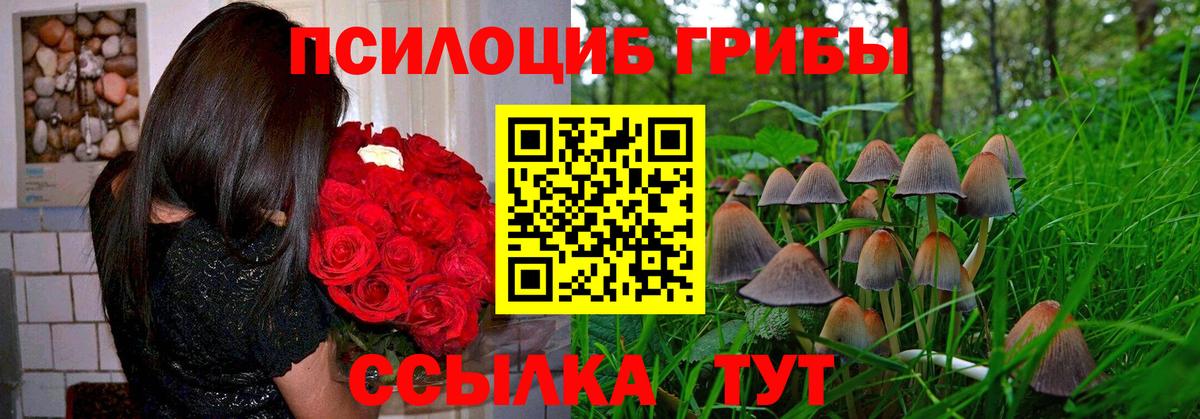 Галлюциногенные грибы ЛСД Добрянка