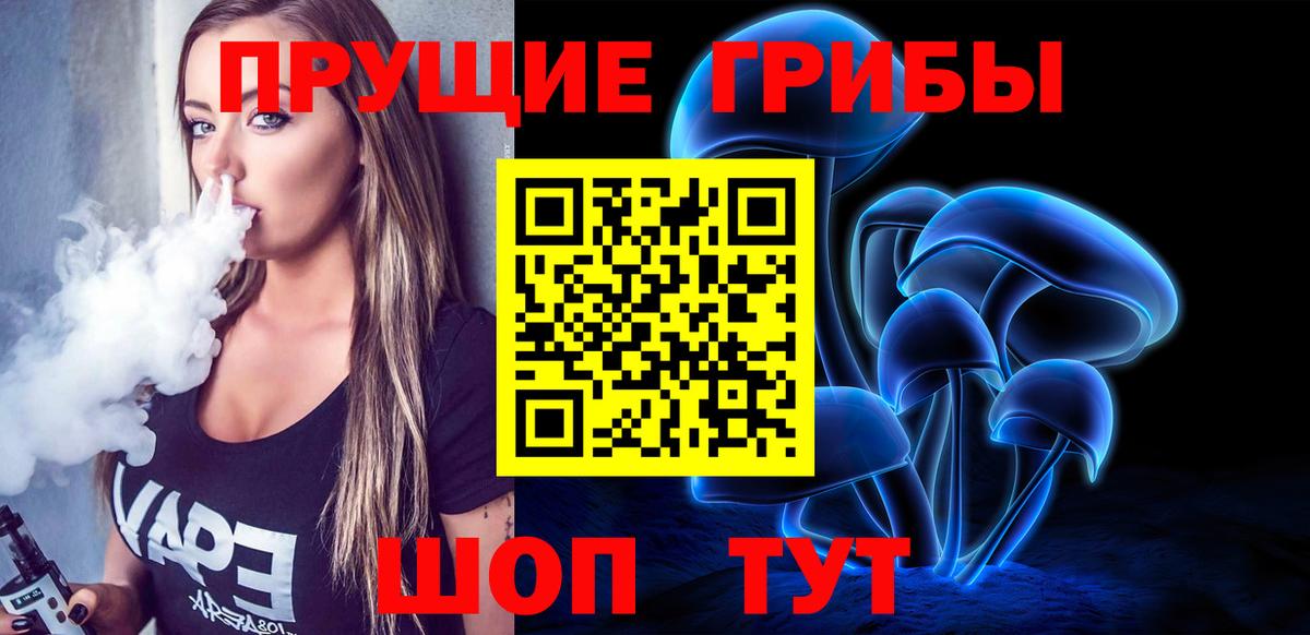 Галлюциногенные грибы Psilocybe  Добрянка  Псилоцибиновые грибы Cubensis 