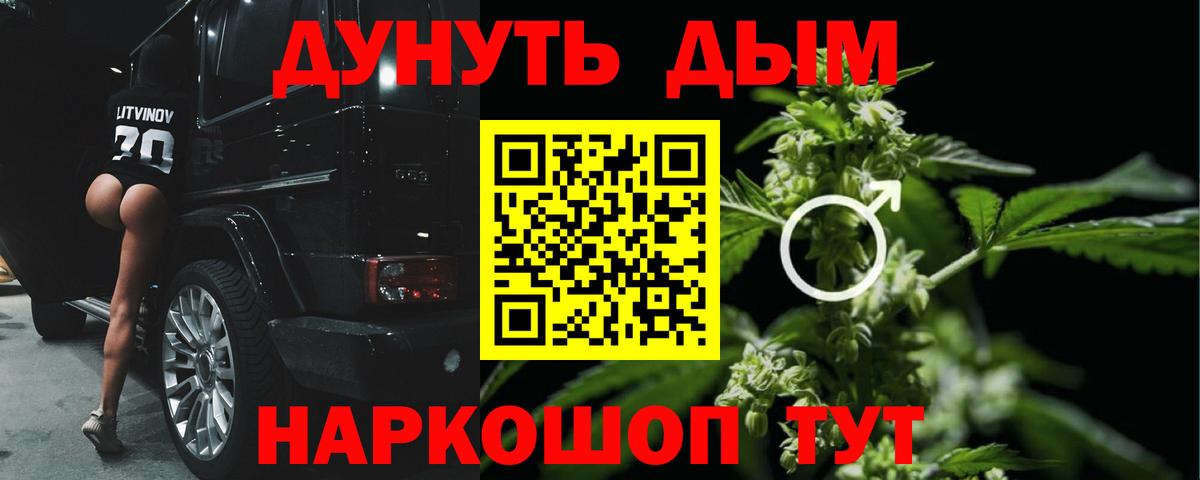 Каннабис OG Kush Добрянка