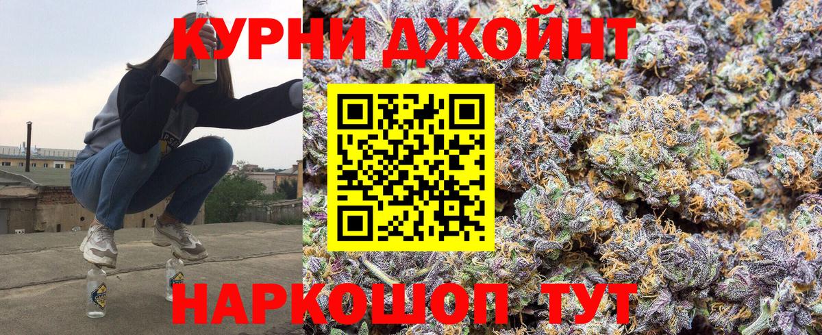 Бошки Шишки план  Добрянка  Каннабис семена  Бошки Шишки OG Kush 